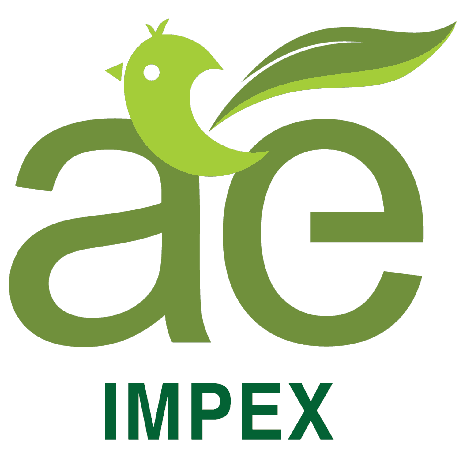 AE IMPEX